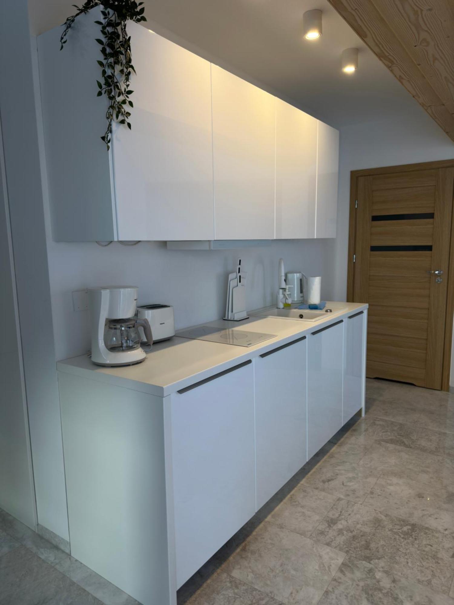 זקופאנה Apartamenty Willa Nika מראה חיצוני תמונה